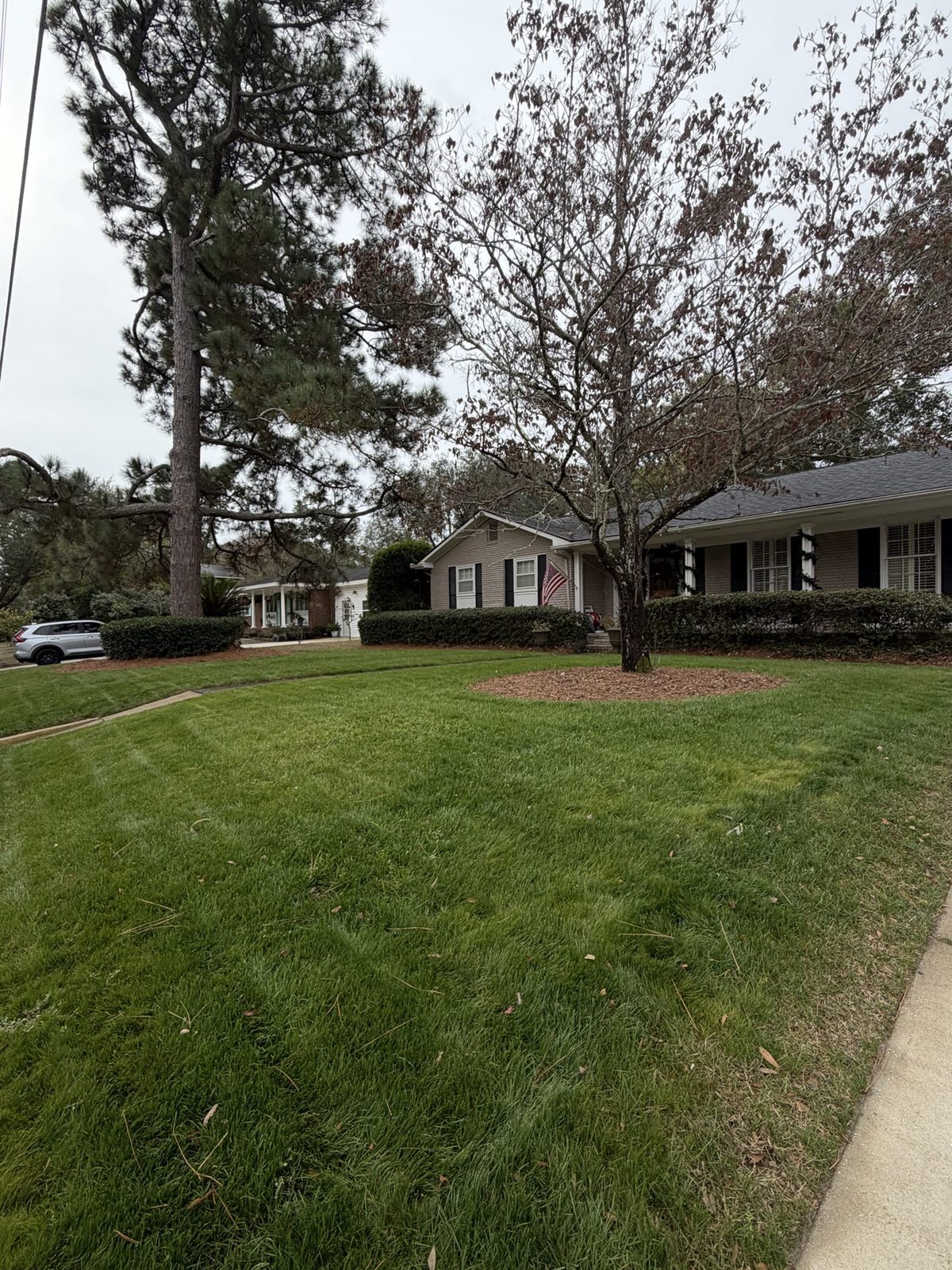 Fresh-cut front lawn with trimmed hedges in front of a brick home