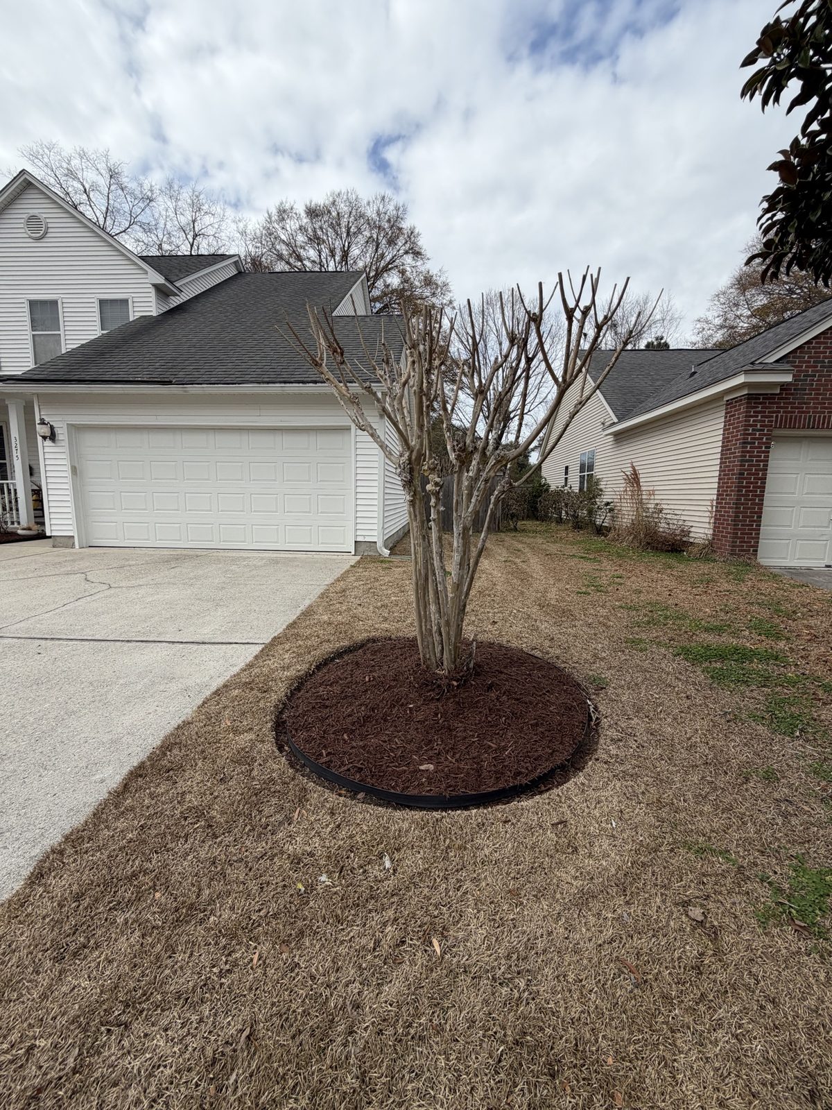 Fresh mulch ring around a crepe myrtle tree between driveways