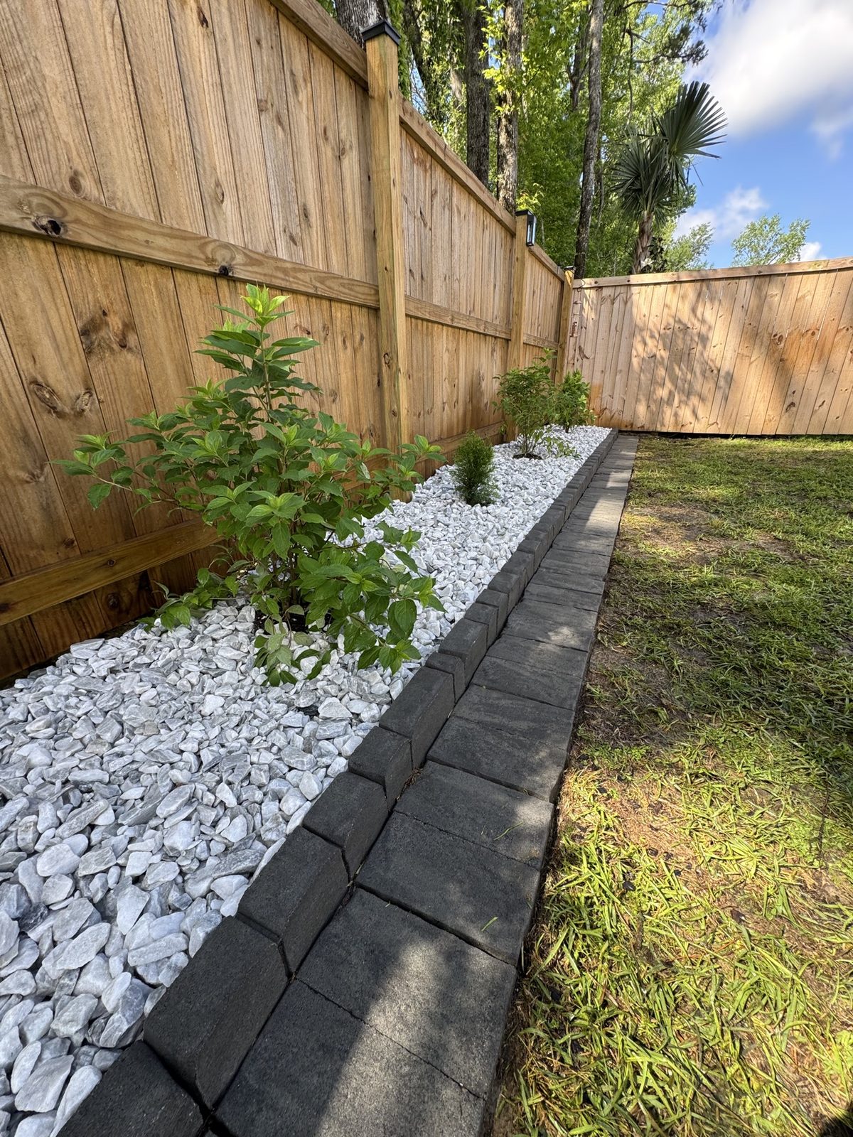 New rock bed with young shrubs and stone border along a fence