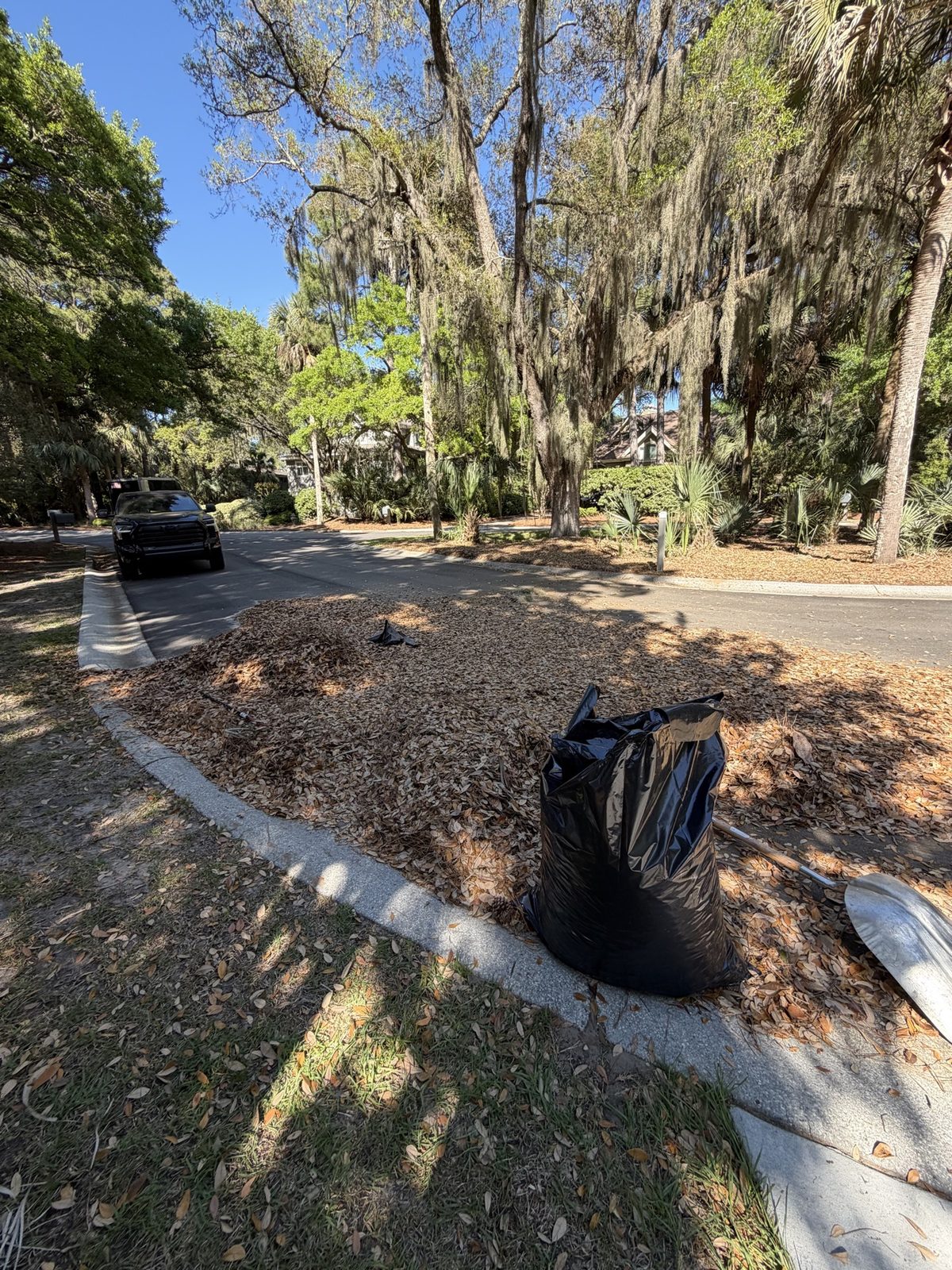 Leaf clean-up in progress with bagged leaves along a curb