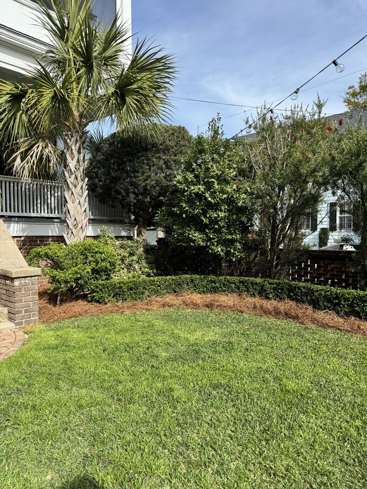 Manicured front yard with trimmed hedges, pine straw, and palm tree