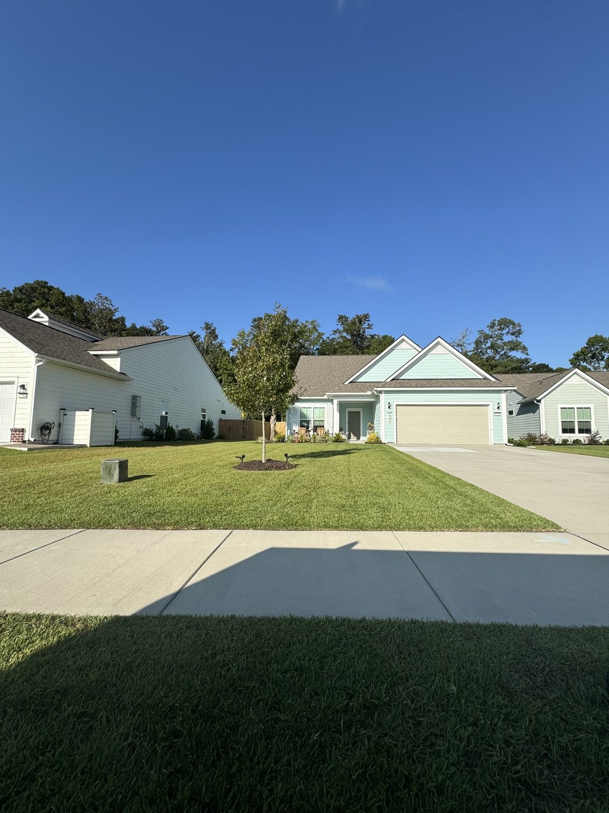 Fresh-cut front lawn with young tree and mulch ring in front of a coastal home