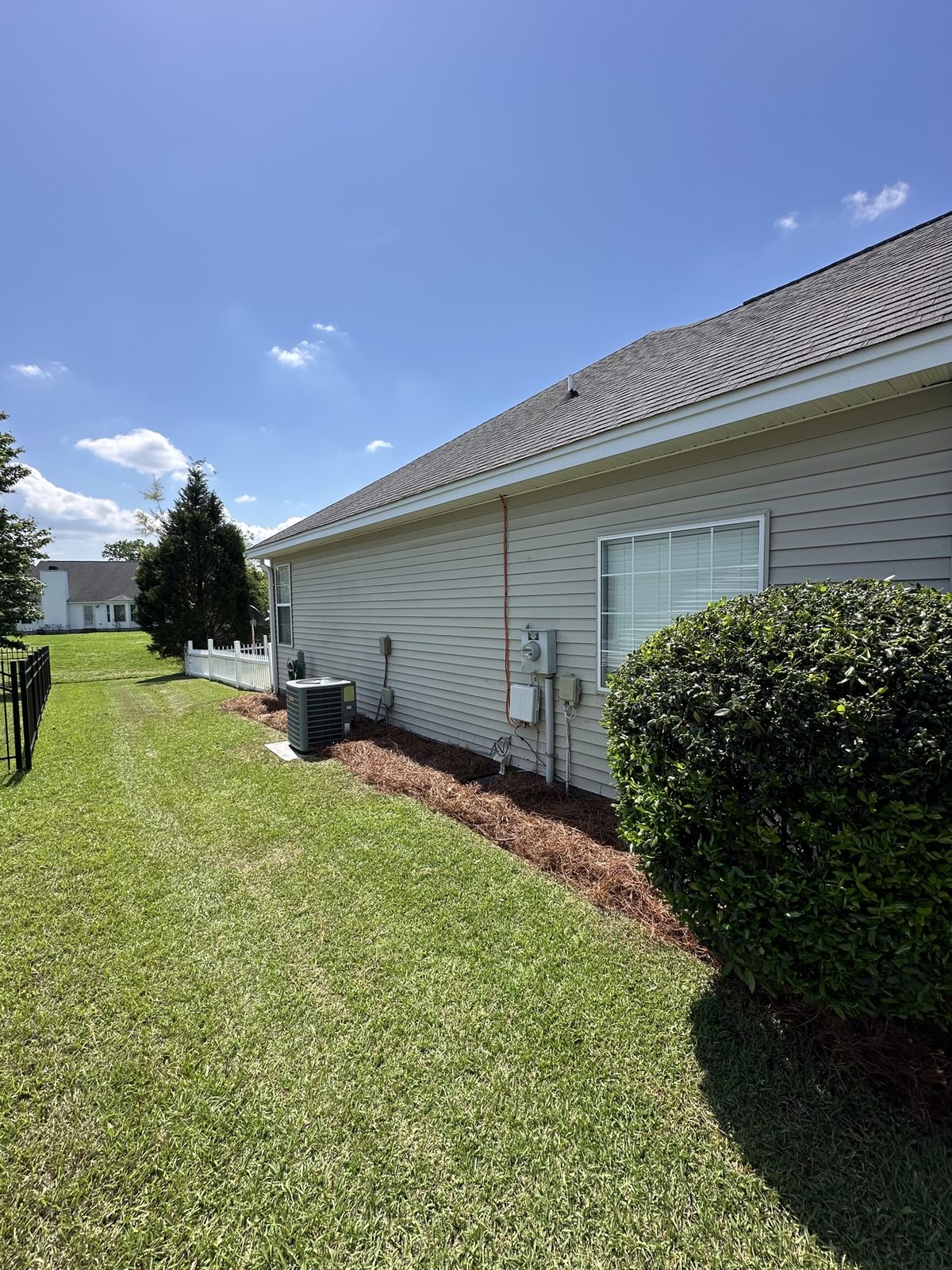 Mowed side yard with trimmed shrubs and fresh pine straw