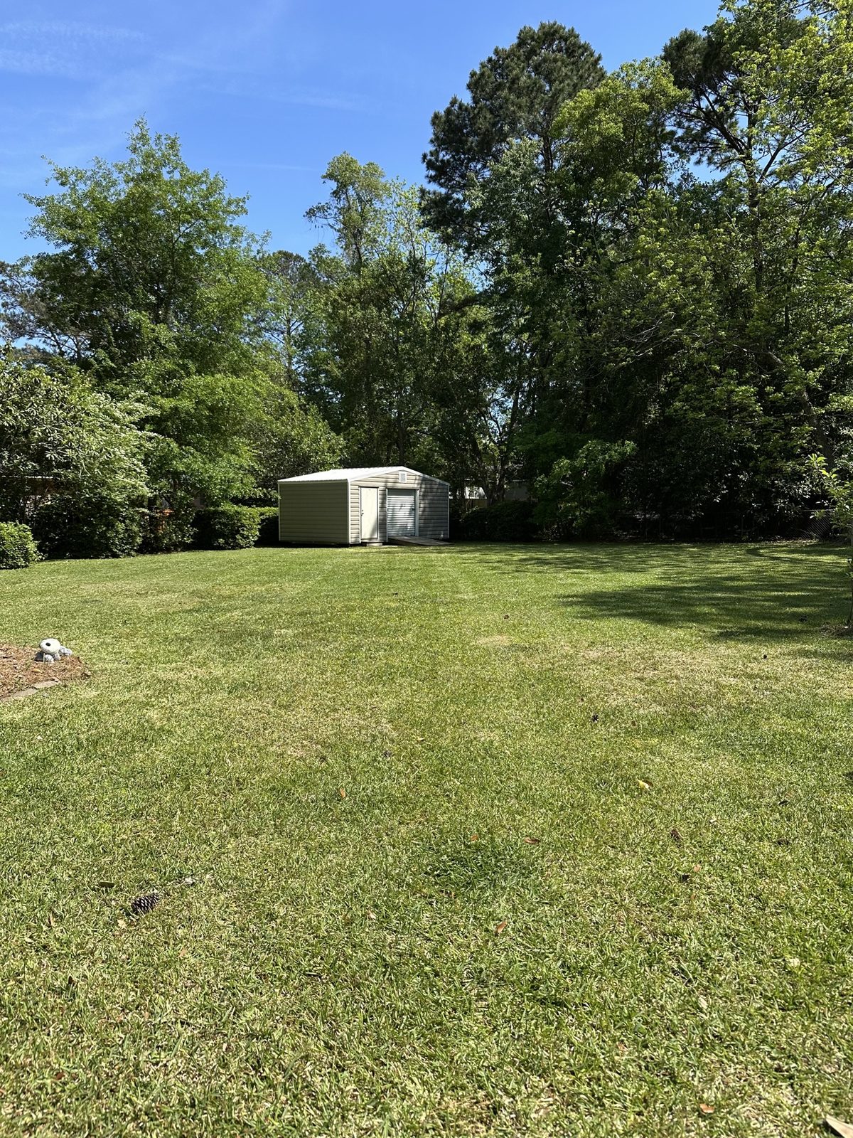 Large mowed backyard with garden shed